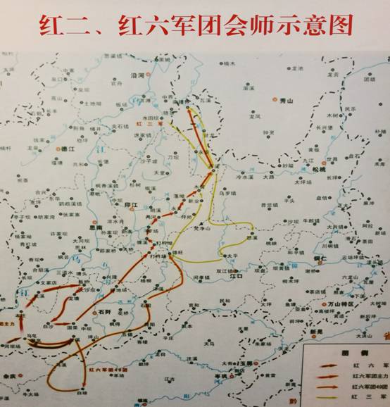 MK体育官网