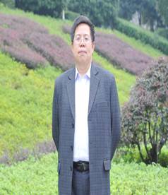 MK体育官网