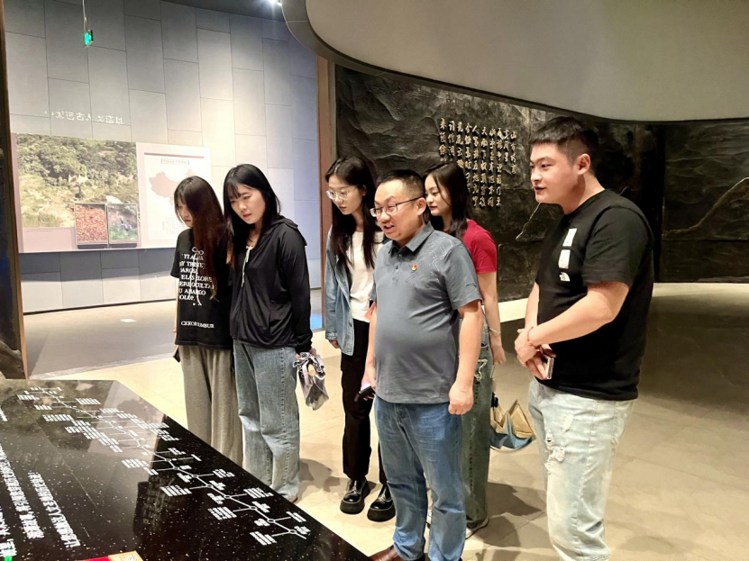 MK体育官网